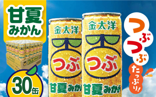 金太洋 つぶ甘夏みかん 30缶入り・1ケース 長崎県/太洋食品株式会社 [42ACAD002] みかん ジュース ミカン 缶 長崎 島原 つぶ 粒