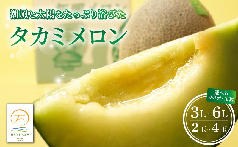 
            ＜2025年 先行予約 ＞ タカミメロン 青肉 選べる 2玉 ～ 4玉 ( 3L ～ 6L サイズ ) 6月 7月 発送 産地直送 メロン 高級 ブランド 糖度 貴味 タカミ 飯岡メロン ブランドメロン 贈り物 贈答 ギフト プレゼント 果物 フルーツ おすすめ 人気 デザート 千葉県 旭市 飯岡 石毛農園 igf
          