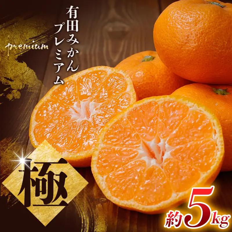 みかん 極 有田みかんプレミアム 約5kg【nuk155G】