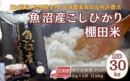 【令和7年 定期便】魚沼産コシヒカリ 30kg (5キロ×6回) 佐藤農場 | 新潟県 コシヒカリ おこめ