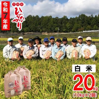 ふるさと納税 笠岡市 【令和7年産 先行受付】白米  ひのひかり 笠岡産 20kg 太陽の恵み O-07_20k_白米