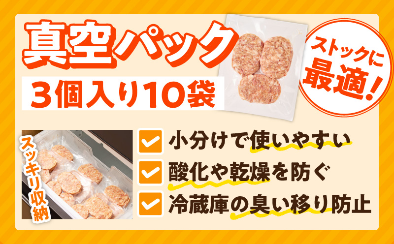肉の泉佐野 ハンバーグ 30個（合計3.6kg）【黒毛和牛 なにわポーク入り 120g×30個 小分け 冷凍 ストック 人気 総菜 はんばーぐ 訳あり 簡単調理 おかず お弁当】 CFX0160