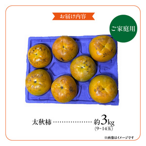 【訳あり品】【10月発送】池尻農園　太秋柿　9～14玉　約3kg　ご家庭用_訳あり品 太秋柿 9～14玉 約3kg ご家庭用 柿 甘柿 フルーツ 果物 スイーツ 甘い 条紋 10月最盛期 完全甘柿 早
