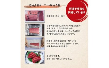 本マグロ（養殖）トロ＆赤身セット 500g 【12月26日～30日に発送】高級 クロマグロ  中トロ 中とろ まぐろ マグロ 鮪 刺身 赤身 柵 じゃばらまぐろ 本マグロ 本鮪【nks110B-sg】