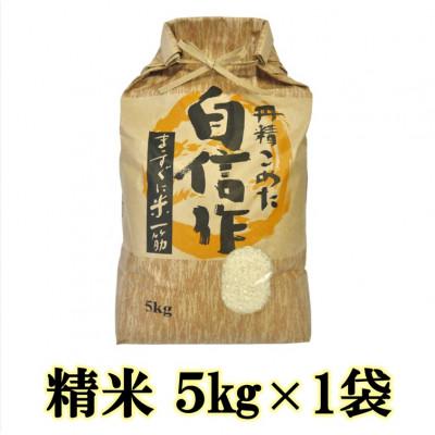 ふるさと納税 佐渡市 【令和7年産】佐渡産もち米 こがねもち 精米 5kg×1袋 |  | 01