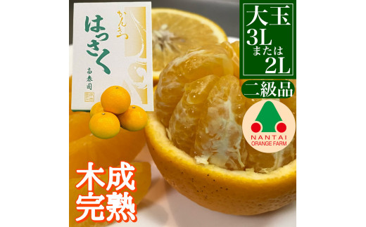 
            ちょっと 傷あり 4月 まで 木成 完熟 させた 有田 はっさく 大玉 3L × 6玉 または 2L × 7玉 化粧箱 南泰園 みかん
          
