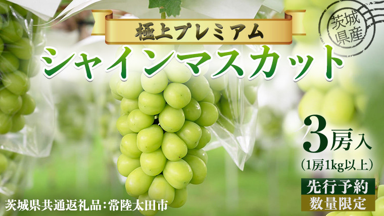 
            【 先行予約 】茨城県産 極上プレミアム シャインマスカット 1房1kg以上 数量限定 3房入り ( 茨城県共通返礼品 : 常陸太田市 )【 2025年 9月中旬頃より発送 】シャインマスカット フルーツ ぶどう 葡萄 ブドウ マスカット 果物  期間限定 数量限定
          