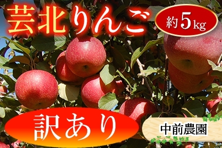 りんご 訳あり ご家庭用 約5kg 中前農園の芸北りんご 農家直送 シナノスイート ぐんま名月 ジョナゴールド ふじ_NA099_002