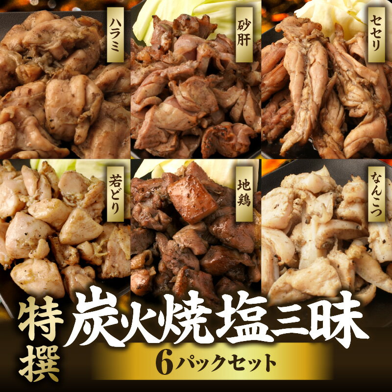 【ふるさと納税】特撰 塩三昧 6パックセット 炭火焼 鶏 とり 鶏肉 焼き鳥 炭火焼き鳥 地鶏 若鶏 なんこつ ハラミ 砂肝 セセリ おつまみ おかず 惣菜 小分け パック 便利 手軽 セット グルメ 贈り物 ギフト プレゼント