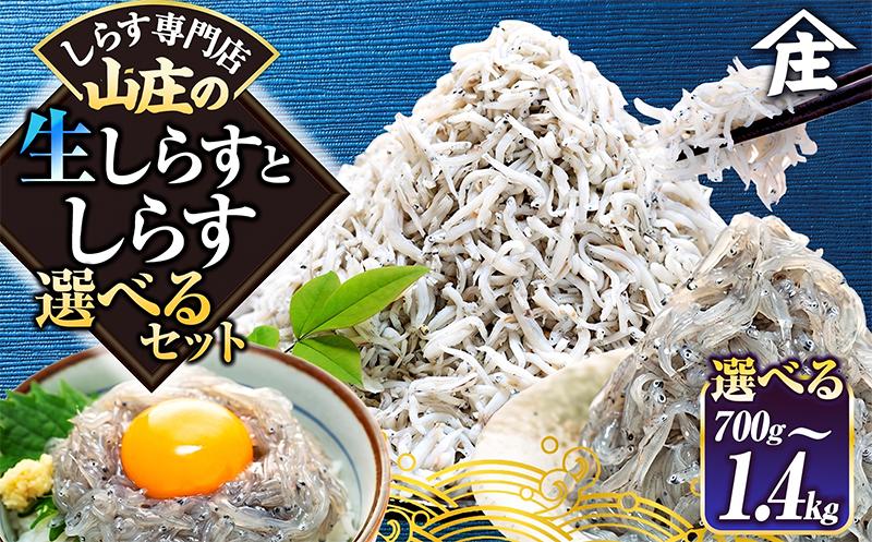 
                   【選べるセット】 生しらす 200g 400g 訳ありしらす干し 500g 1kg セット 冷凍 真空パック しらす干し  愛知県 南知多町 師崎 生シラス 美味しいしらす  人気しらす シラス 海鮮 しらす丼 シラス丼 ふるさと納税しらす 激うましらす  南知多産しらす愛知県産しらす コメ 米 シラスパスタ しらす しらすごはん shirasu sirasu SIRASU 人気シラス
                