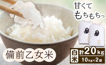 米 こめ コメ 備前乙女米 白米 20kg 石原果樹園《30日以内に出荷予定（土日祝除く）》岡山県 浅口市 ご飯 お米 国産 岡山県産 送料無料