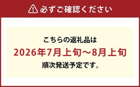 葡萄詰合せ（シャインマスカット 晴王 1房（580g以上）・ニューピオーネ 1房（580g以上） ハウス栽培【2026年7月上旬～8月上旬まで順次発送予定】葡萄 ぶどう ブドウ ピオーネ マスカット