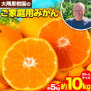 【ふるさと納税】『大隅果樹園』のご家庭用みかん 約5kg 約10kg (2S~Lサイズ) 大隅果樹園《10月下旬-12月下旬頃出荷》熊本県 玉名郡 玉東町 みかん 柑橘 フルーツ 果物 ご家庭用 訳あり