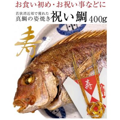 ふるさと納税 小浜市 祝い鯛・400g