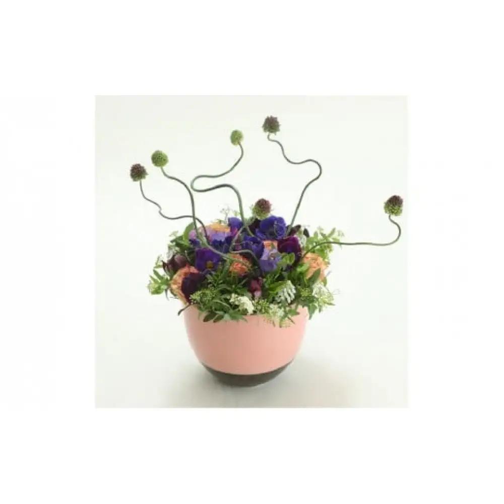 季節ごとに届く、えらべるお花　Sサイズ（4回お届け）【季節ごとに届く、えらべるお花 Sサイズ フラワーライフ 世界らん展 フラワードリームジャパンカップ フラワーアレンジメント 6種類のフラワースタイ