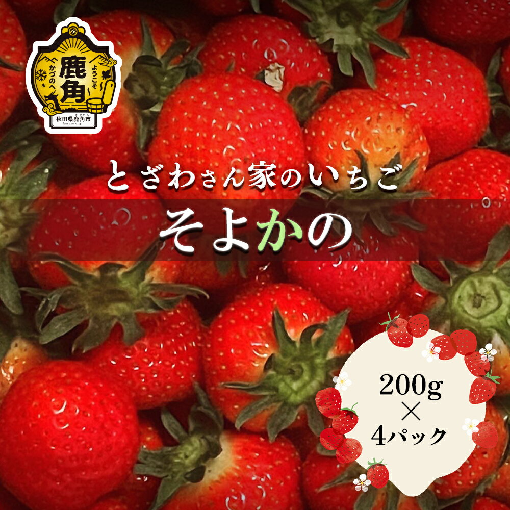 【ふるさと納税】《 先行予約 》 完熟いちご そよかの 200g × 4パック おすそ分け 県産いちご 国産いちご お中元 お歳暮 母の日 父の日 贈り物 贈答用 ホワイトデー お盆 グルメ ギフト 故郷 秋田 あきた 鹿角市 鹿角 送料無料 【とざわさん家のいちご】