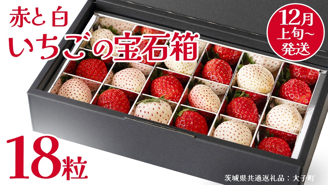 赤いちご と 白いちご の宝石箱18粒【2025年12月上旬発送開始】(茨城県共通返礼品:大子町) いちご 苺 果物 フルーツ 果実