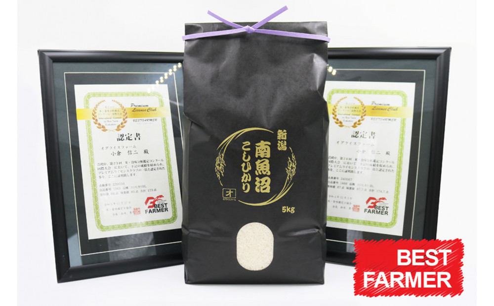 【令和８年産　新米予約 】【生産者直送】【定期便１２ヶ月】  南魚沼産こしひかり 無洗米5kg×全12回　合計60kg　オグライスファーム＜コシヒカリ 農家直送＞　2026年10月中旬頃から受付順に発
