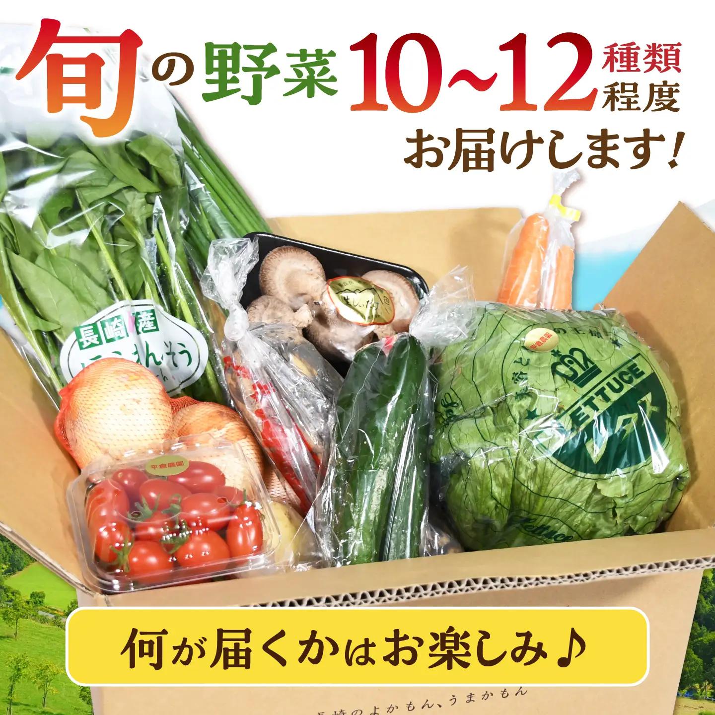 諫早のんのこ彩菜・詰め合わせ 10・12品目程度 / 季節 旬 野菜 やさい 春野菜 夏野菜 秋野菜 セット 詰め合わせ / 諫早市 / 肥前グローカル株式会社 [AHDI005]