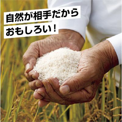 ふるさと納税 南魚沼市 【無地のし】無洗米 精米 新潟県 南魚沼産 コシヒカリ3kg (美味しい炊き方ガイド付き) |  | 01