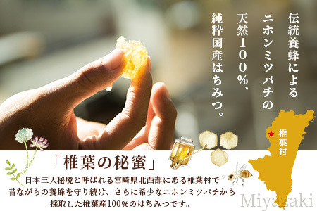 【秘境を味わう】椎葉の秘蜜 【150g×4本】国産天然はちみつ【数量限定】 MS-09