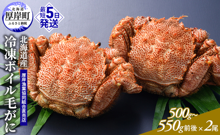 訳あり 3D冷凍 ボイル 毛がに 500g前後×2尾 毛蟹 毛ガニ
