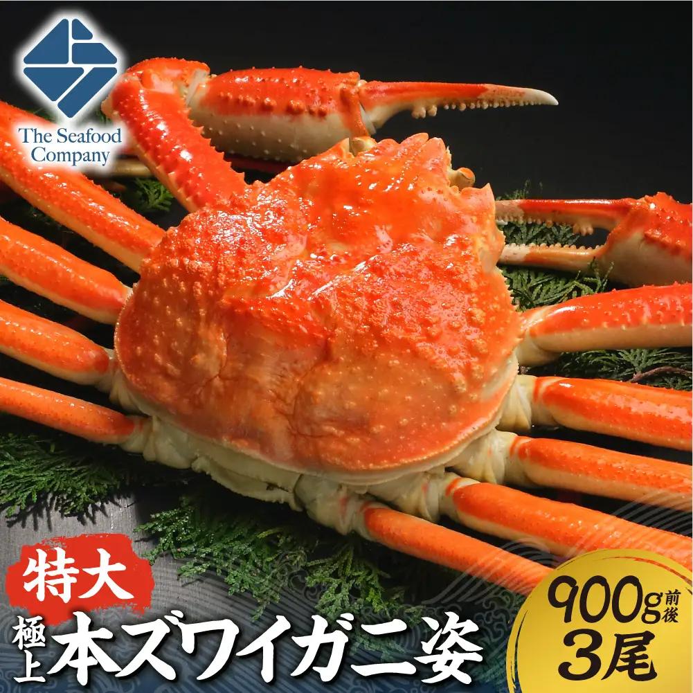 極上！特大本ズワイ蟹の姿　本ズワイ蟹　900g　3尾 | かに ズワイガニ 北海道 札幌市
