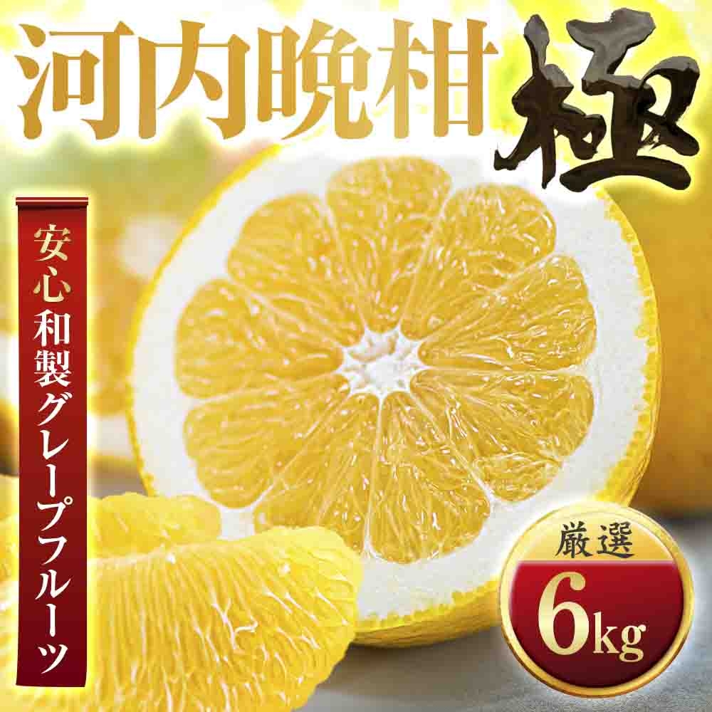 
                  ＜太陽をたっぷり浴びた＞河内晩柑＜極＞6kg＜C49-61＞【1509764】 YWTZ053
                
