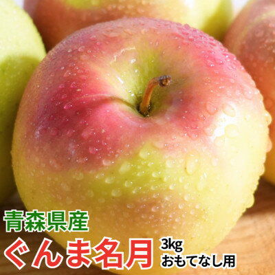 【ふるさと納税】【26年11月中旬から順次発送】糖度13度以上保証!ぐんま名月おもてなし用約3kg(6～18玉)【配送不可地域：離島・沖縄県】【1682760】