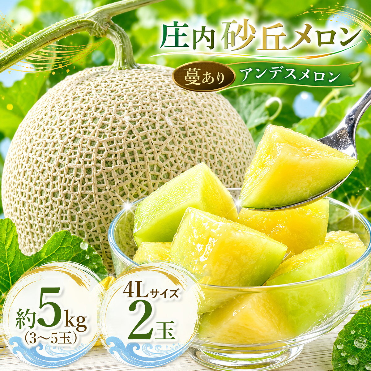 【ふるさと納税】【令和9年産先行予約】菅原農園の庄内砂丘メロン（蔓あり） アンデスメロン (青肉) ［約5kg (3〜5玉) ～ 4Lサイズ2玉］【7月下旬～8月上旬】K-935/K-920 | ギフト 夏 旬 フルーツ ギフト お中元 砂丘育ち 甘い 高糖度 特産品 名産品 贈答 産地直送 農園直送