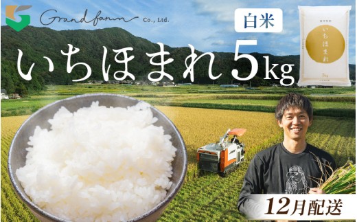 【先行予約】令和8年産 新米 いちほまれ 白米 5kg【2026年12月発送】精米 福井県 美浜町産 こめ コメ お米 おこめ 5キロ 10キロ おすすめ [m46-a005_12]