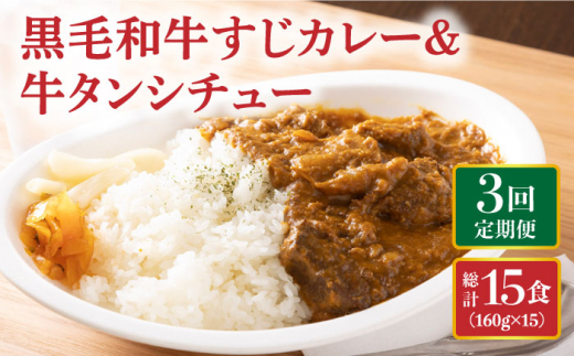 【全3回定期便】 黒毛和牛 牛すじカレー ＆ 牛タンシチュー 毎月5食  長与町/炭火焼肉あおい [EBW003] 和牛カレー タンシチュー 常温