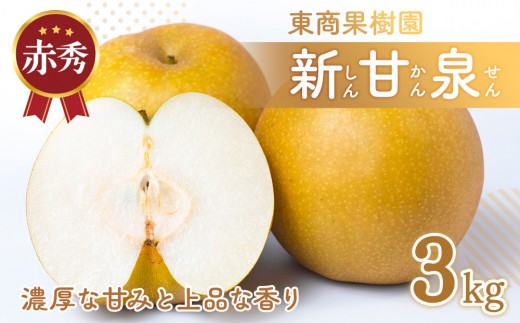 東商果樹園 新甘泉 (赤秀) 3kg【8月下旬以降お届け】