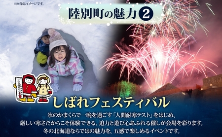 北海道 陸別町 寄附のみ 応援受付 5,000円コース 寄付だけ 返礼品無し 地域応援 支援 支援寄付金 応援金 応援寄付金 地域活性化 寄付 寄附 お礼品無しエール 町づくり 支援金 お礼の品無し 