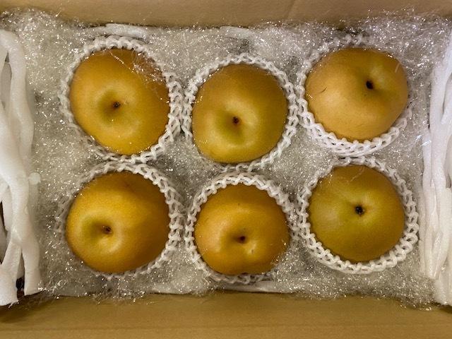 【 数量限定 】 伊万里 梨 豊水 2.5kg 113-B1078
