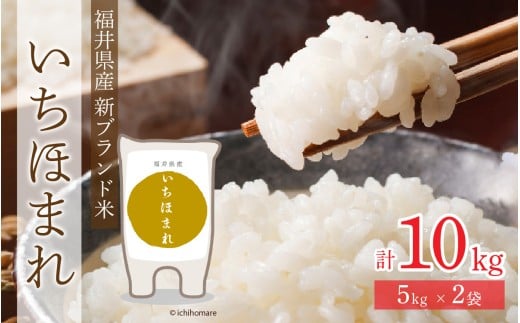 令和7年度産 福井県産新ブランド米 いちほまれ 10kg（5kg×2袋） [B-002027] / 米 お米 こめ コメ 10キロ 福井 特A 5キロ 5kg 令和7年 令和七年 7年度産 7年度 令和7年度 白米 精米 ブランド 単一米