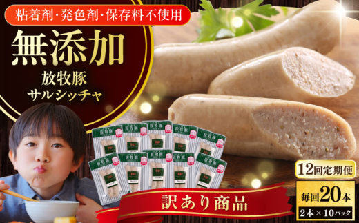 【全12回定期便】【訳あり】【結着剤・発色剤・保存料不使用】 放牧豚 サルシッチャ 2本x10セット（90g/パック） 《厚真町》【ファーマーズファクトリー株式会社】 訳あり ソーセージ ウインナー 無塩せき 冷凍配送 セット 詰め合わせ 北海道[AXBA077]