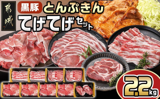 
            「黒豚とんぷきん」てげてげセット2.2kg_MJ-5906_(都城市) 
          