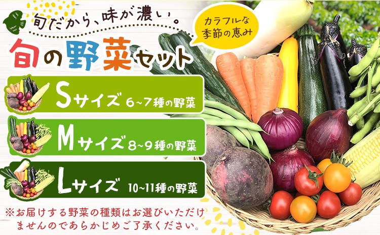 
                  野菜 旬の野菜セット Sサイズ 6～7種の野菜 Mサイズ 約8～9種 Lサイズ 約10～11種 《30日以内に出荷予定(土日祝除く)》 ベジLIFE!! 【配送不可地域あり】（沖縄・離島） 季節の野菜  料理 甘い 採れたて トマト 新玉ねぎ じゃがいも キャベツ 白菜 ベジライフ 千葉県 我孫子市
                
