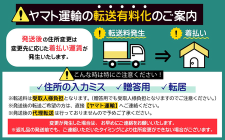 【蔵人窯】飛び鉋フリーカップ2個セット A2