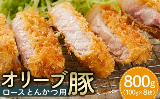 【ギフト用】豚肉 オリーブ豚 ロースとんかつ用 800g（100g×8枚）【化粧箱入り】【配送不可：離島】