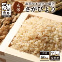 【ふるさと納税】【12ヶ月定期便】佐賀県産 さがびより 玄米 5kg×12回 《12ヶ月連続 毎月お届け》 定期便 12か月 合計60kg 合計12回発送 お米 九州 米 国産 九州産 佐賀県 鹿島市 送料無料 K-5