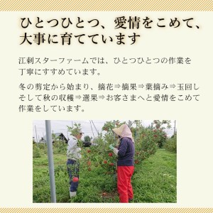 【スターファーム】 こだわり栽培の ジョナゴールド 厳選品 3kg 岩手県奥州市産りんご 産地直送 [AY009]