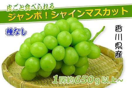 《2025年発送》特秀品シャインマスカット ( １房 約700g以上 ) ぶどう マスカット 香川県産