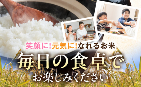 都城産米と国産米ブレンド 5kg_11-33-001-5kg_(都城市) お米 国産ブレンド米 5kg 精米