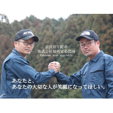 紫菊芋パウダー　150ｇ入　3袋　約90日分／菊芋　紫　薬草　腸活　水溶性食物繊維　イヌリン　朝食前　水　コーヒー　ヨーグルト　奈良県　宇陀市_イメージ3