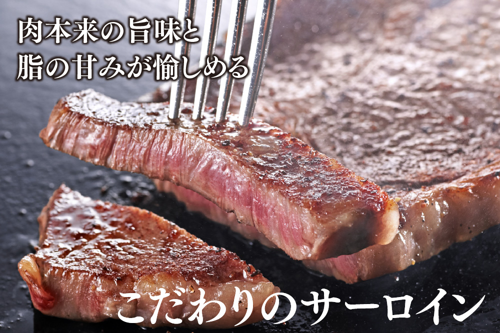 佐賀牛 サーロインステーキ 200g×4枚(合計800g)【A4～A5ランク】【ステーキ 希少 国産和牛 牛肉 肉 牛】(H085212)