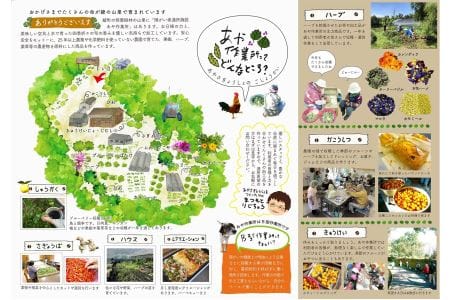 あや作業所のハーブティセット　農薬・化学肥料不使用【障がい者通所福祉施設 あや作業所】_A0114-208