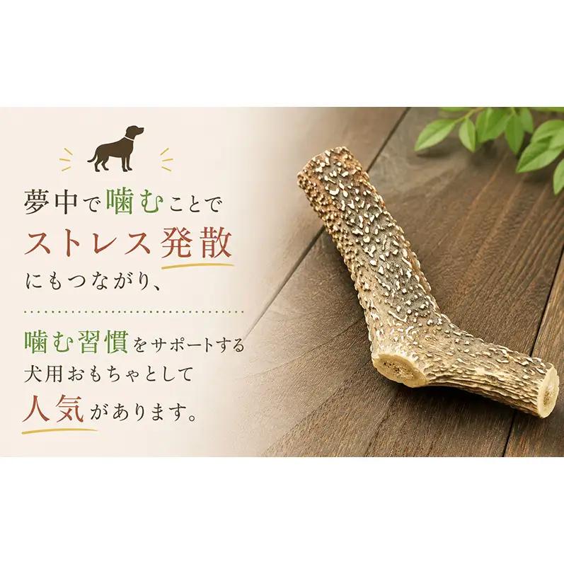 「克じぃの店」の愛犬用鹿角カット（大） おもちゃ ペット用 犬 静岡県 森町