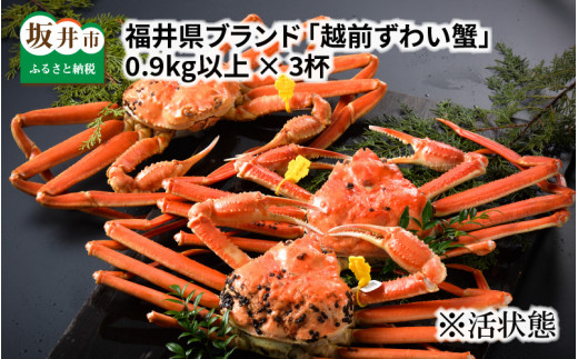 【先行予約】福井県ブランド ≪茹で≫「越前ズワイ蟹」 0.9kg以上 3杯 【2026年2月発送分】 [Q-1401_02]